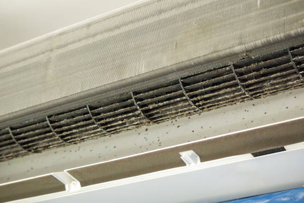 HVAC System Cleaning in Colonial Heights, VA